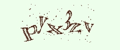認証画像
